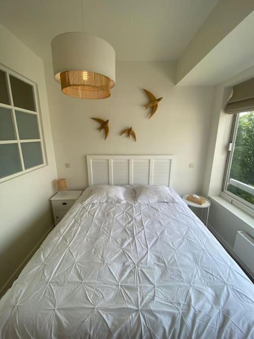 1 Chambre Avec Parking Au Coeur De Bruxelles 2D المظهر الخارجي الصورة